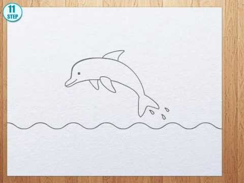 480x360 How To Draw A Dolphin Step By Step - Dolphin Sketch Step By Step