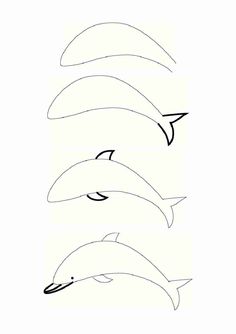 236x334 Pin By Dalia Halfon On Chalk Markers Drawings, Easy - Dolphin Sketch Step By Step