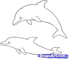 236x204 Dolphin Clipart Tattooed Drawings, Art And Dolphin - Dolphin Sketch Step By Step