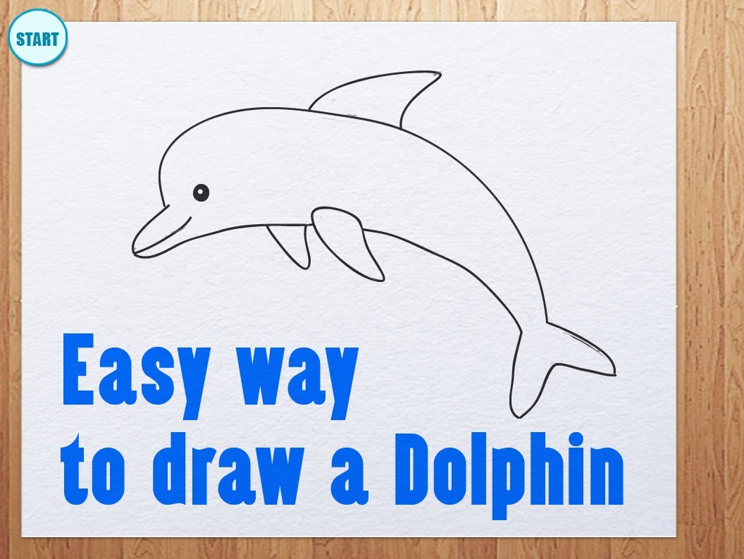 1056x793 Easy Way To Draw A Dolphin - Dolphin Sketch Step By Step
