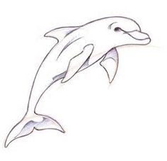 236x227 97 Best Dolphin Images In 2018 Dolphins Tattoo - Dolphin Tattoo Sketch