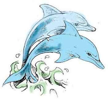 351x337 Blue Dolphin Tattoo Sketch - Dolphin Tattoo Sketch