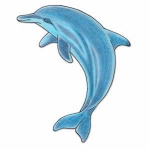 298x298 Dolphin Attractive Design - Dolphin Tattoo Sketch