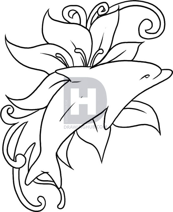 587x720 How To Draw A Dolphin Tattoo, Step By Step, Drawing Guide, By - Dolphin Tattoo Sketch