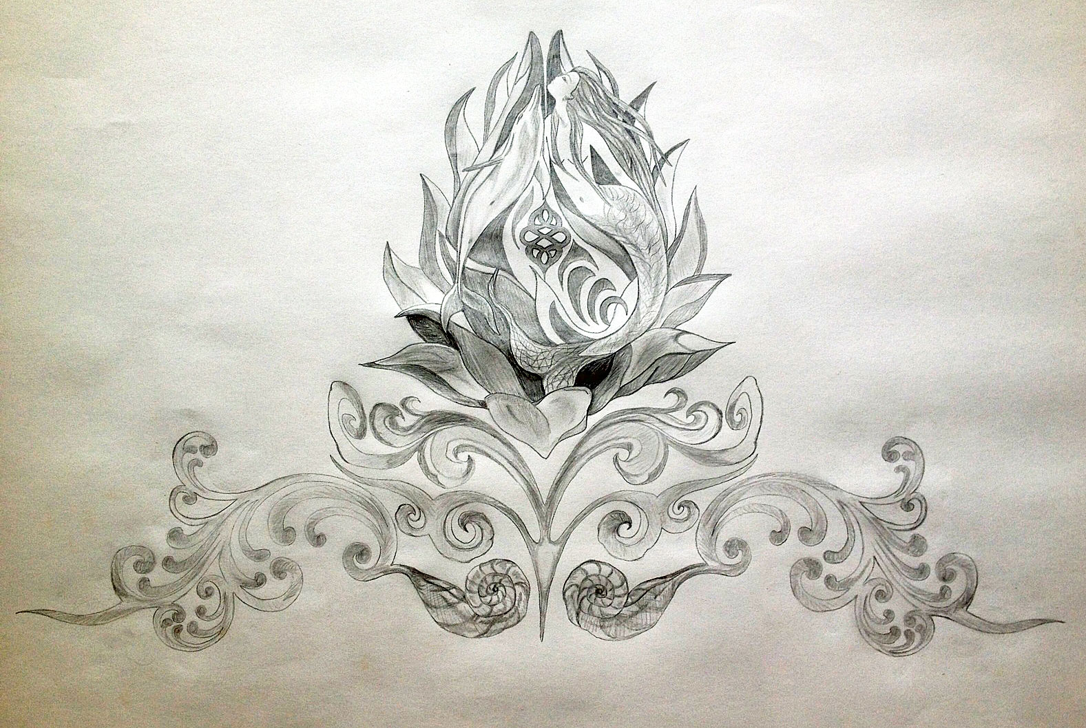 1577x1058 Dolphin Tattoos Tania Marie - Dolphin Tattoo Sketch