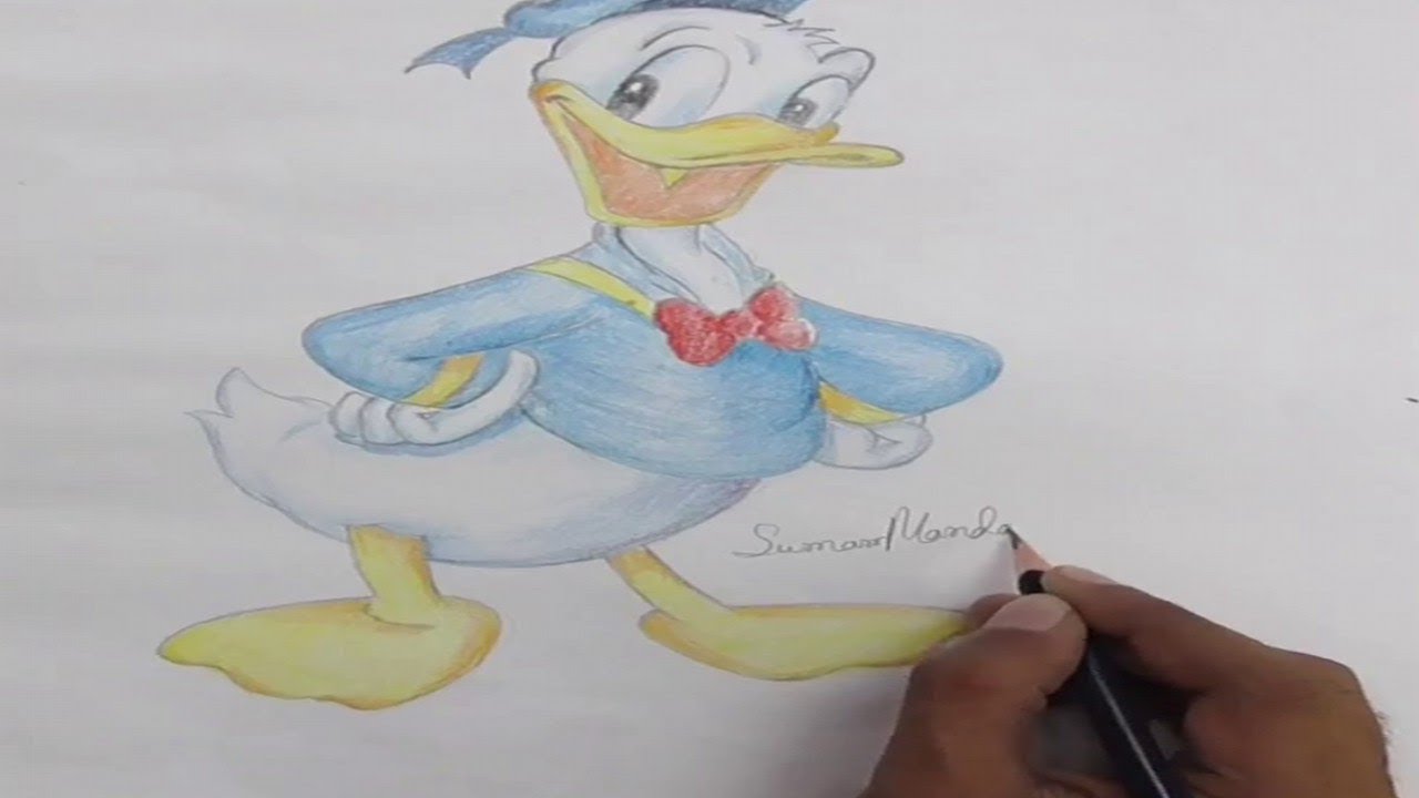 1280x720 How To Draw A Donald Duck Cartoon For Beginner Color And Pencil - Donald Duck Cartoon Sketch