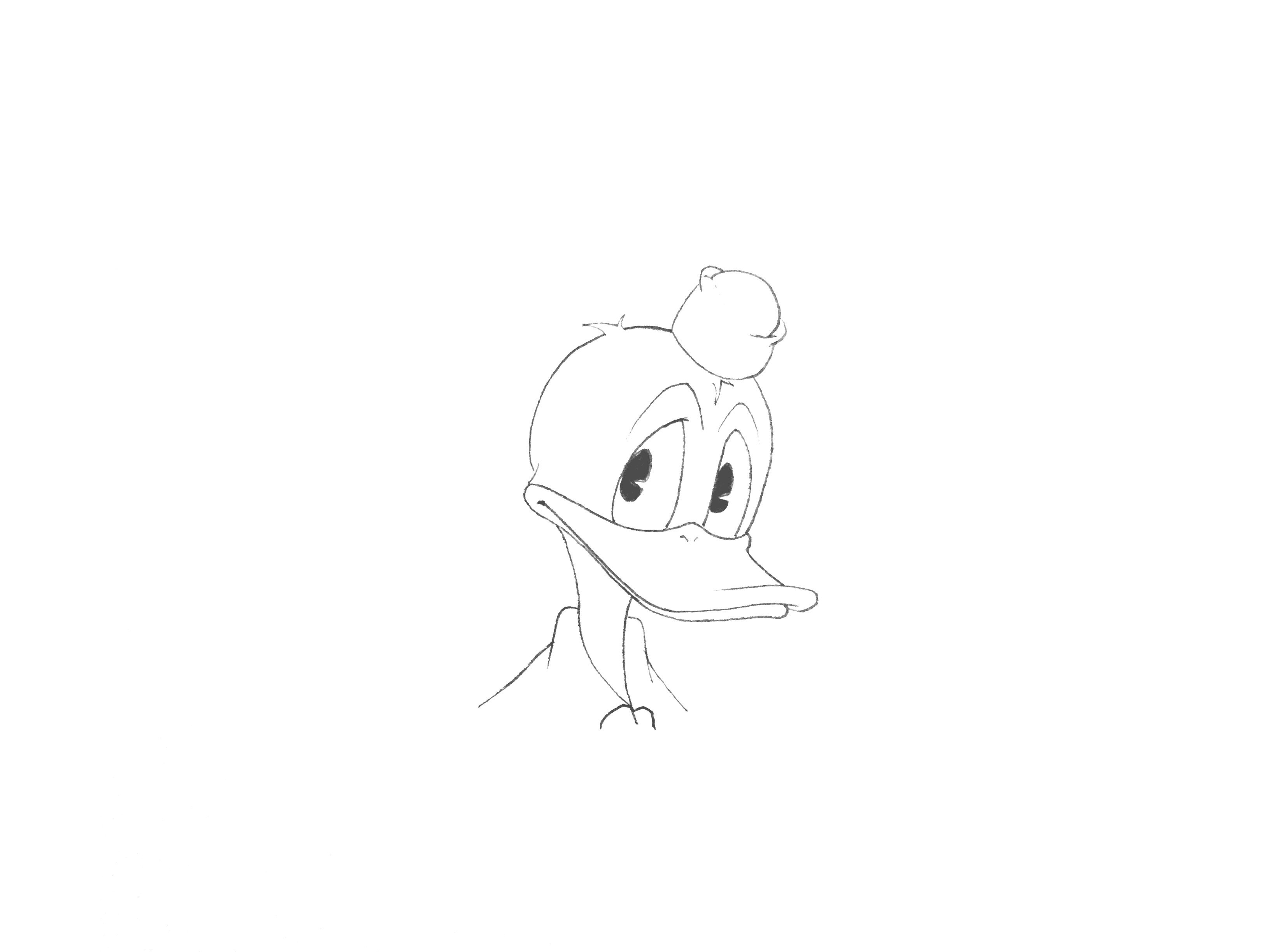 3264x2448 Been Busy + Seaman Donald Duck Sketching - Donald Duck Cartoon Sketch