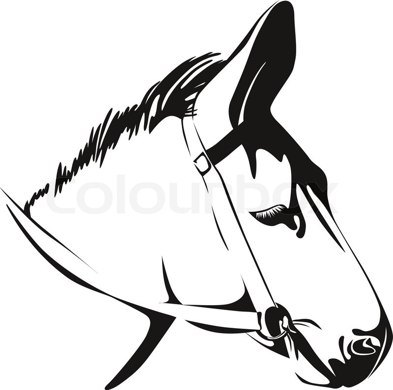 800x795 Head Of Donkey. Black And White Vector Drawing Stock Vector - Donkey Head Sketch