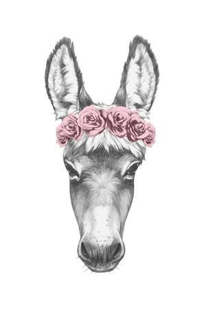 300x450 Portrait Of Donkey With Floral Head Wreath. Hand Drawn - Donkey Head Sketch