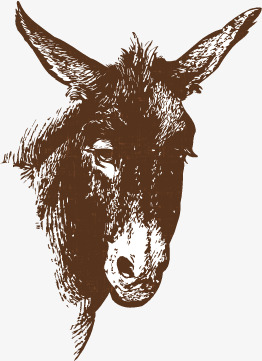 262x361 Vector Sketch Donkey, Sketch Vector, Donkey, Sketch Png And Vector - Donkey Head Sketch