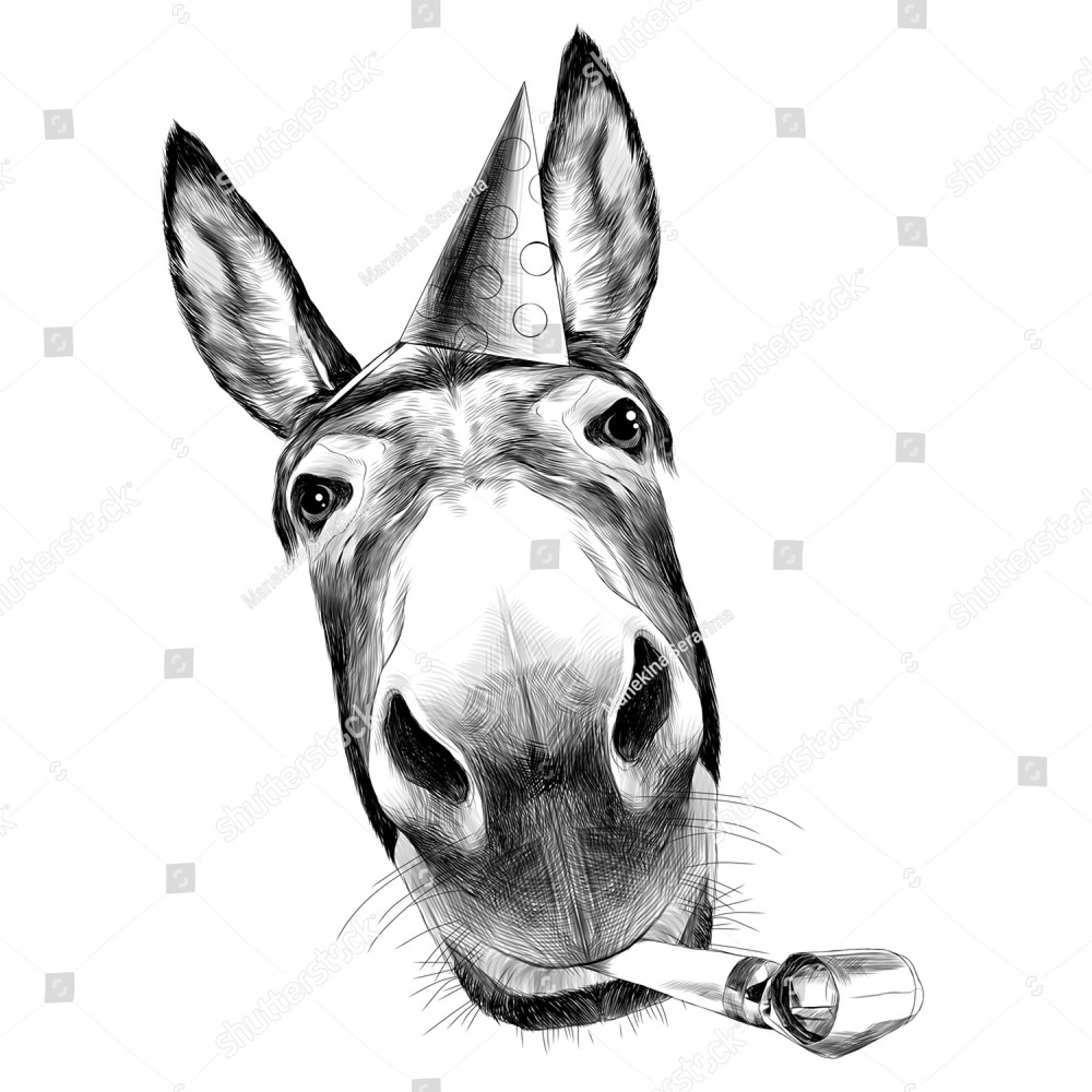 1000x1000 Ass Front View With A Large Head, Looks Black And White - Donkey Head Sketch