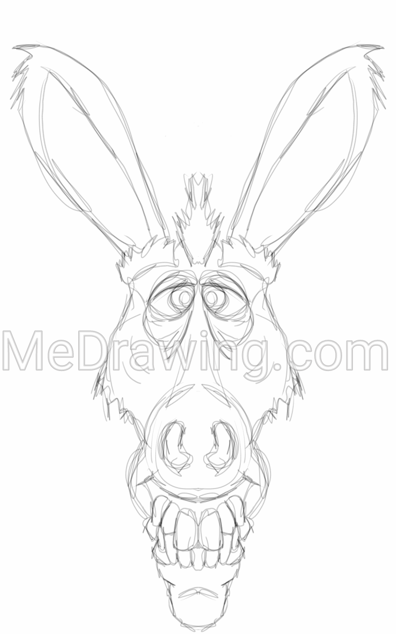 800x1280 Pencil Sketch - Donkey Head Sketch