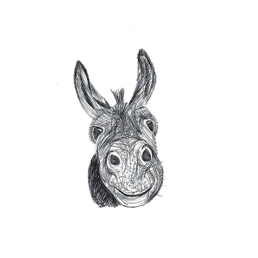 Donkey Head Sketch at Explore collection of Donkey