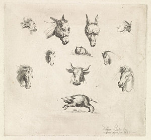300x278 Donkey Head Drawings Fine Art America - Donkey Head Sketch