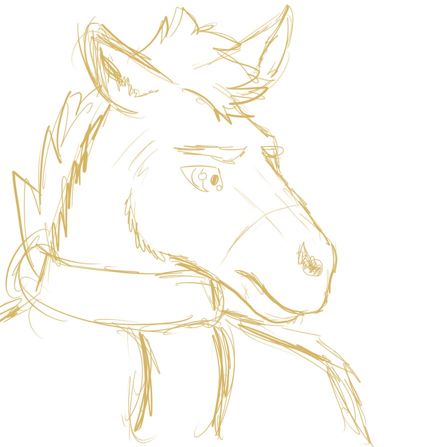 894x894 Donkey Sketch By Brusheer - Donkey Sketch