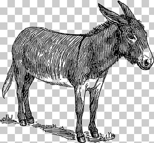310x288 Drawing Donkey Sketch, Exhausted Cyclist Png Clipart Free - Donkey Sketch