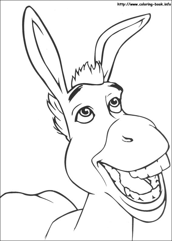 567x794 Drawn Donkey Sketch 25 - Donkey Sketch