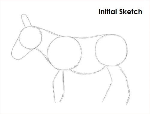 500x380 How To Draw A Donkey - Donkey Sketch