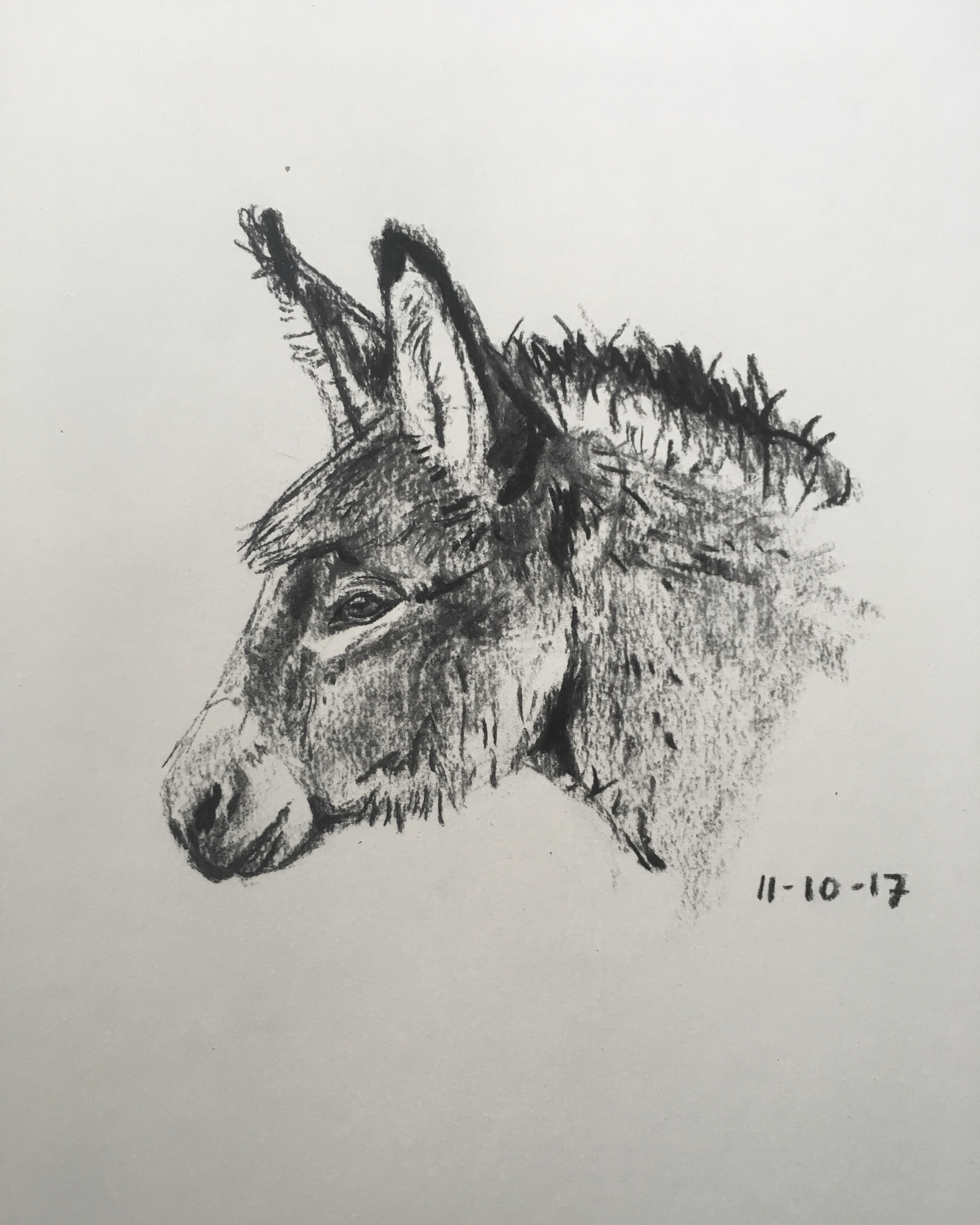 3024x3779 Quick Donkey Drawing! Drawing - Donkey Sketch