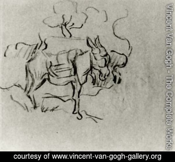 600x555 Vincent Van Gogh - Donkey Sketch