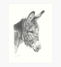 210x230 Donkey Sketch Art Prints Redbubble - Donkey Sketch
