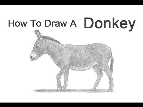 480x360 How To Draw A Donkey - Donkey Sketch Images