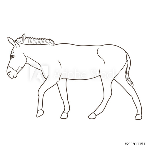 500x500 Vector, Isolated Donkey Sketch Going - Donkey Sketch Images
