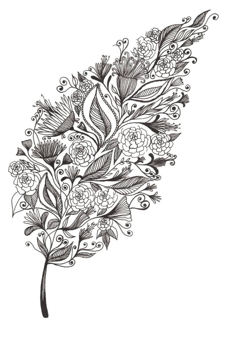 736x1104 Drawing Art Leaf Doodle Sketch - Doodle And Sketch