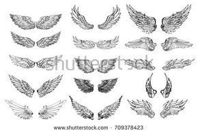 290x195 Hand Drawn Wing Set.sticker Wing Tattoo.doodle And Sketch Style - Doodle And Sketch