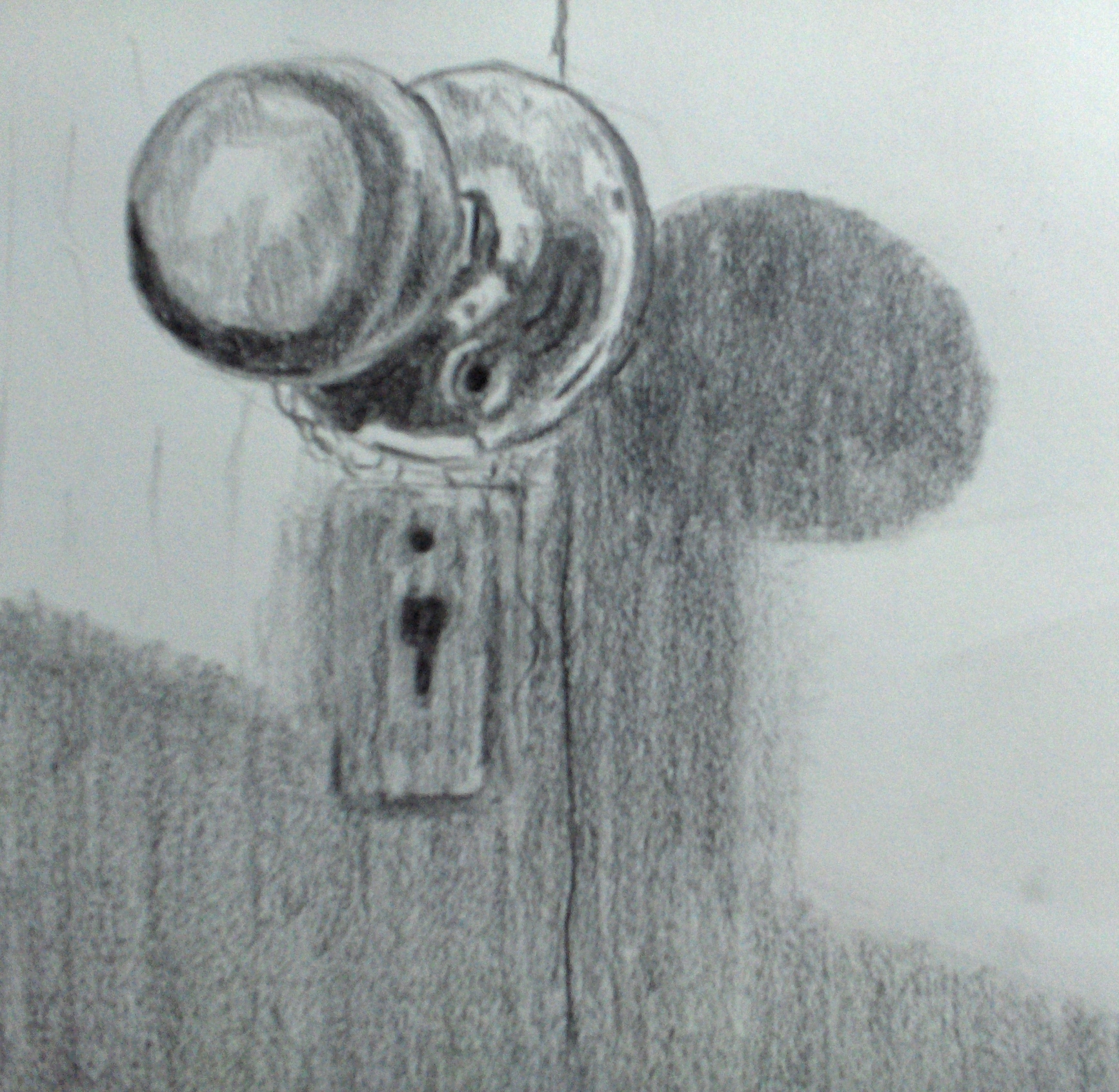 1734x1692 Sketch - Door Knob Sketch