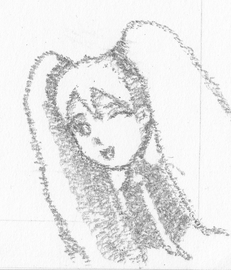 784x916 Sketch - Dot Sketch