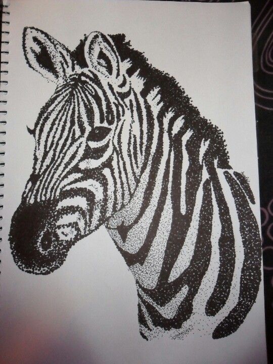 540x720 Zebra Dot Drawing - Dot Sketch