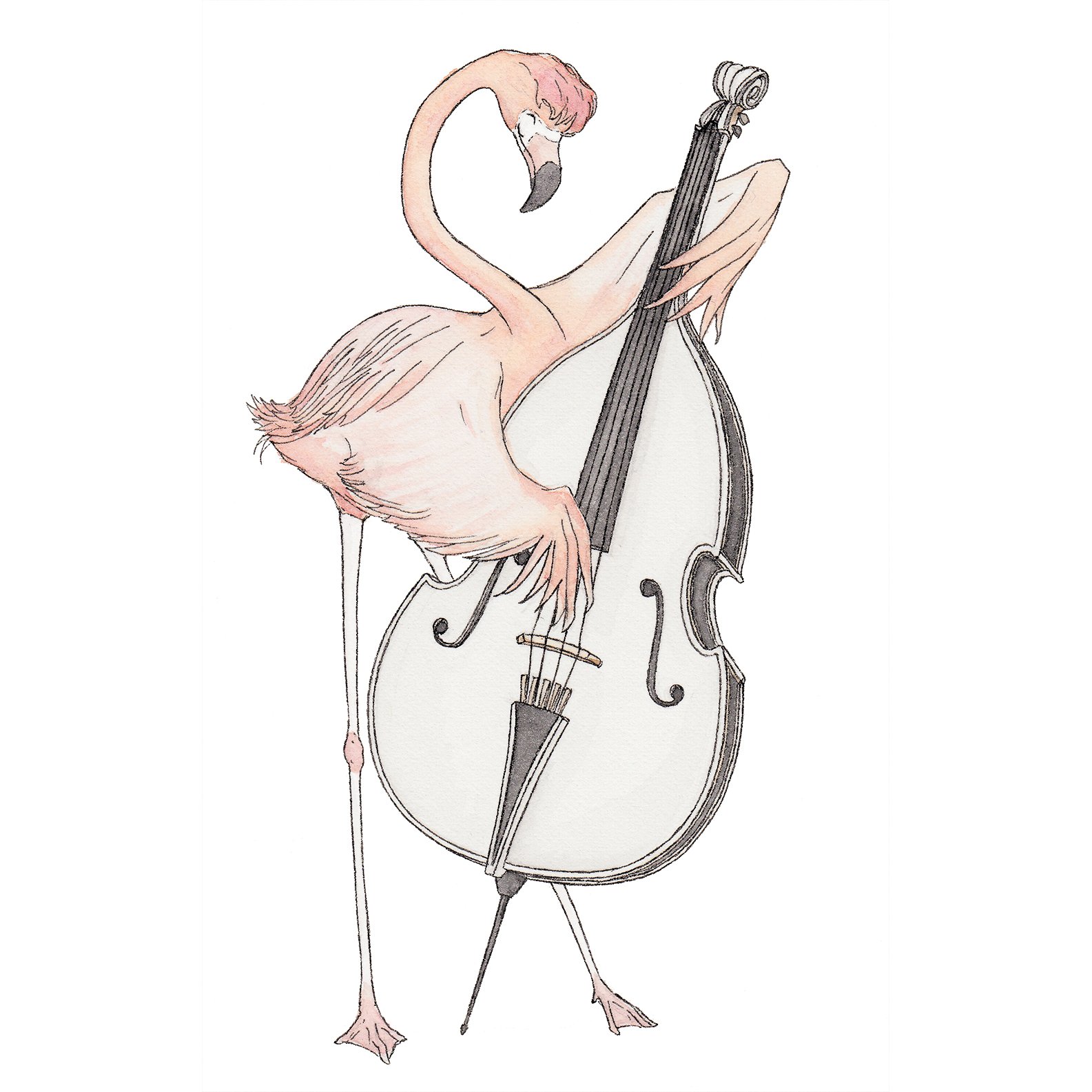 1585x1585 The Flamingo Amp His Double Bass - Double Bass Sketch
