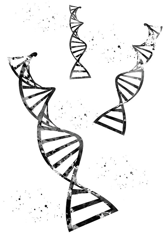 636x900 Double Helix Digital Art By Erzebet S - Double Helix Sketch