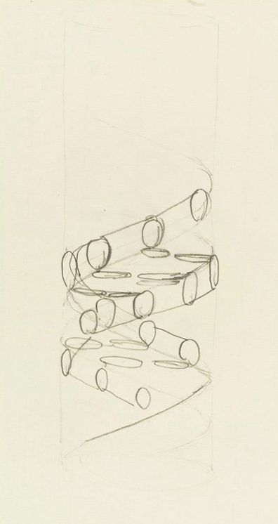 396x746 Francis Crick Dna Double Helix Sketch, 1953 Product Design - Double Helix Sketch