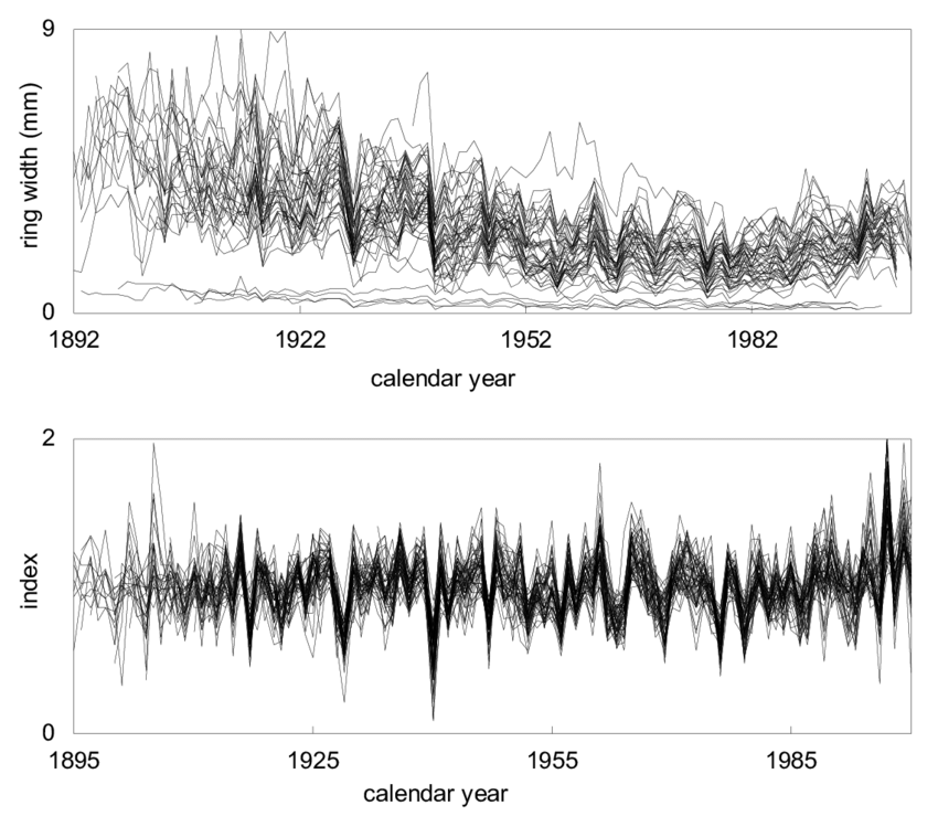 850x749 Site Tree Ring Chronologies (Top Figure) And Site Residual - Douglas Fir Sketch