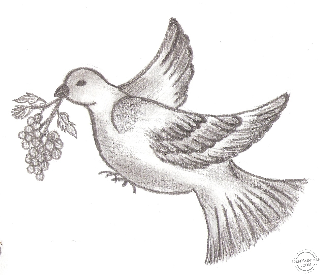 1263x1083 Drawn Dove Pencil Drawing - Dove Bird Sketch