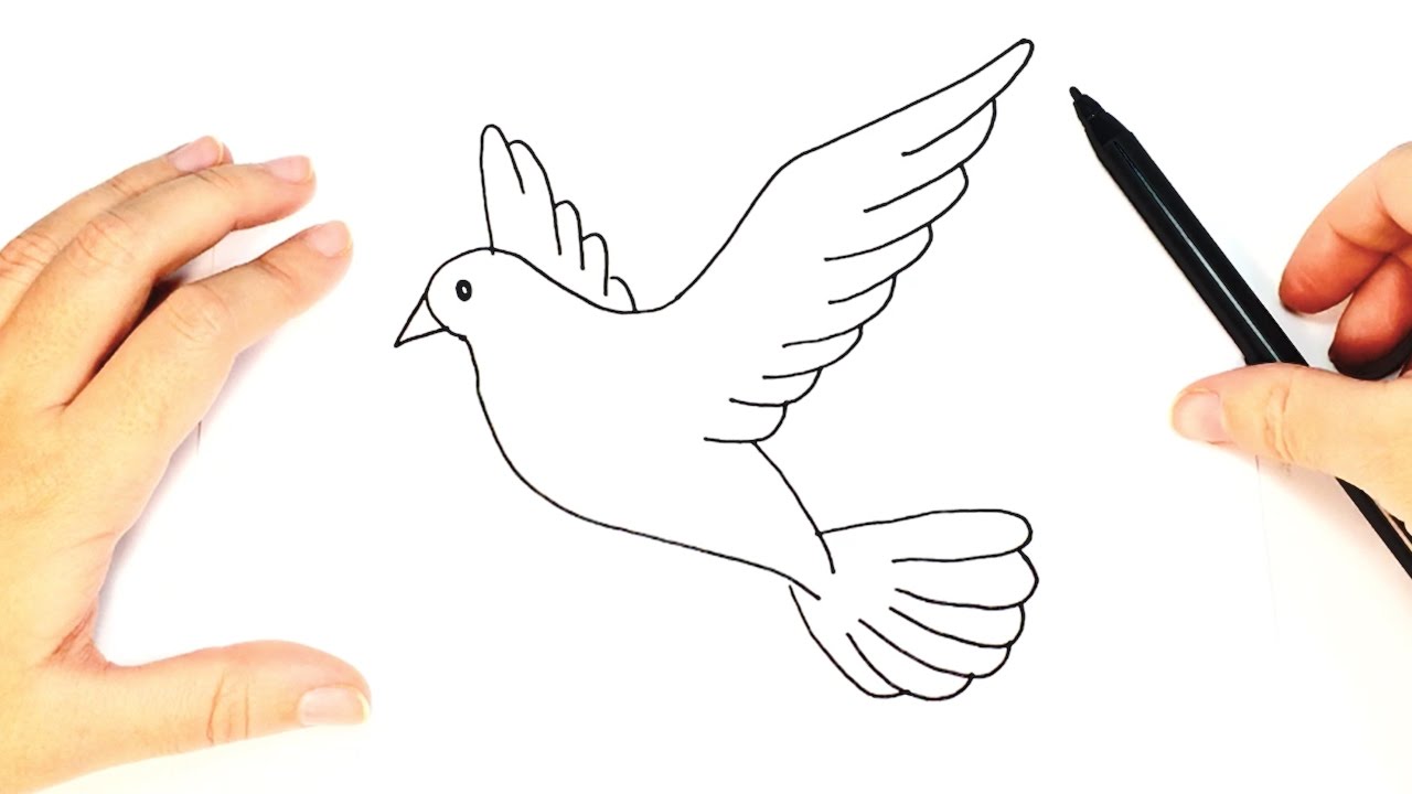 1280x720 How To Draw A Dove For Kids Dove Drawing Tutorial - Dove Bird Sketch