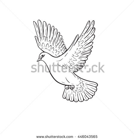450x470 Collection Of Pigeon Wings Drawing High Quality, Free - Dove Bird Sketch