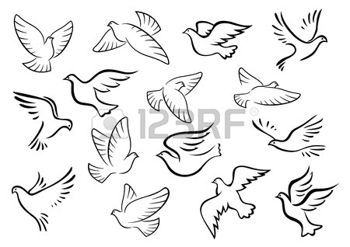 350x247 Dove Flying Pigeon And Dove Birds Silhouettes In Sketch Style For - Dove Bird Sketch