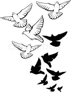 248x320 Flying Dove. Tats Tattoo, Dove Tattoos And Tatting - Dove Bird Sketch