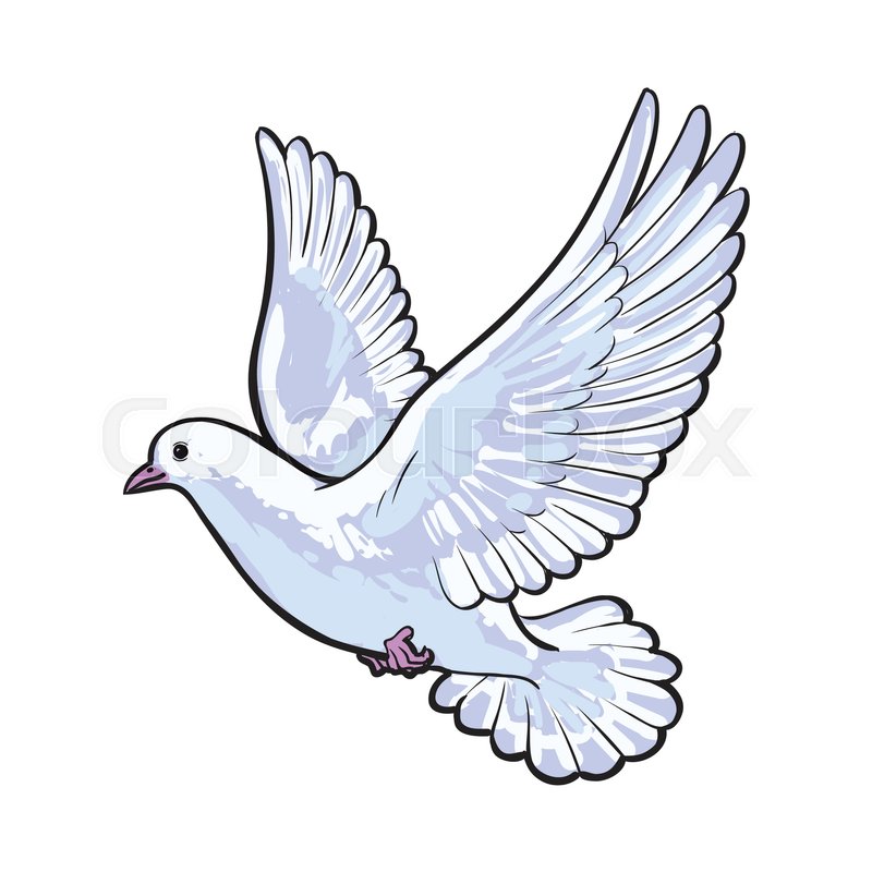 800x800 Free Flying White Dove, Sketch Style Vector Illustration Isolated - Dove Sketch