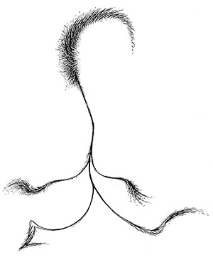 300x365 Contact The Art Of Dr. Seuss - Dr Seuss Sketches