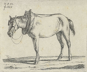 300x246 Draft Horse, Anthonie Willem Hendrik Nolthenius De Man Drawing By - Draft Horse Sketch