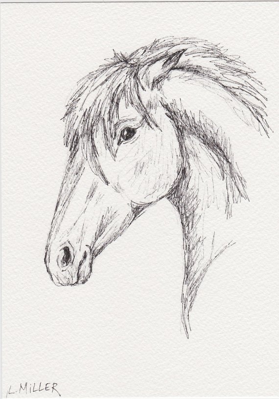 570x817 Draft Horse Sketch Equine Art Horse Portrait Drawing 5x7 Etsy - Draft Horse Sketch