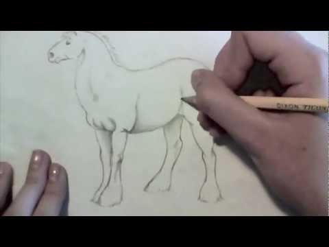 480x360 Draft Horse Speed Drawing (Advanced) - Draft Horse Sketch