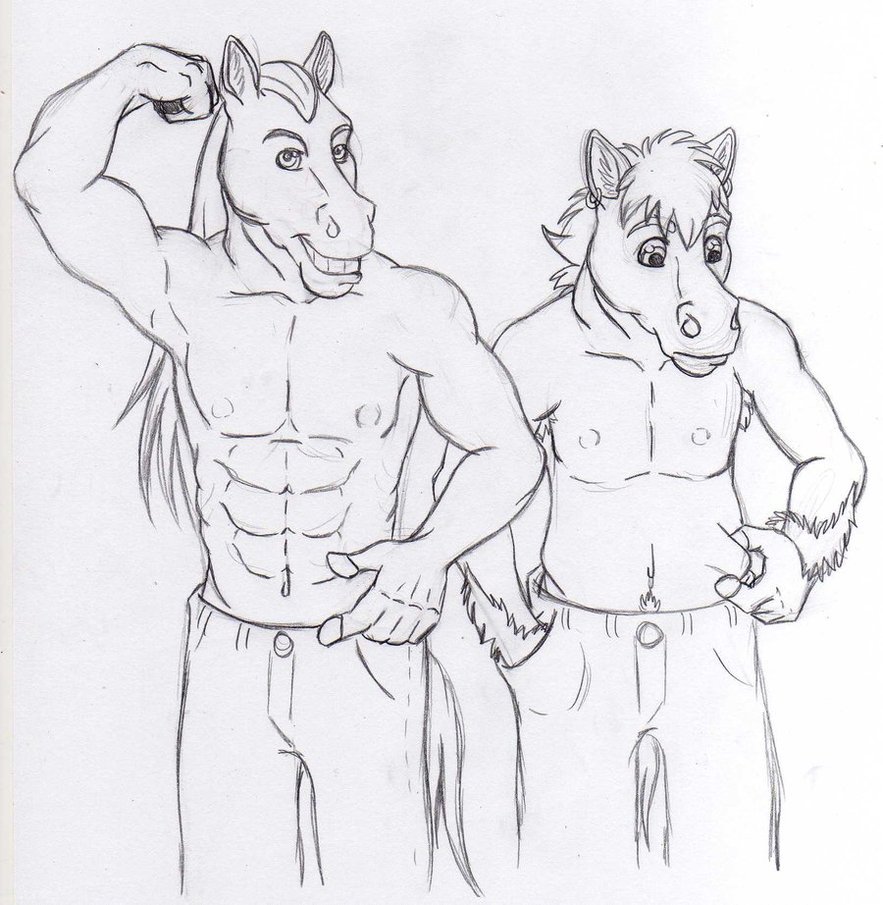 883x905 Draft Horse Sketch By Acekun16 - Draft Horse Sketch