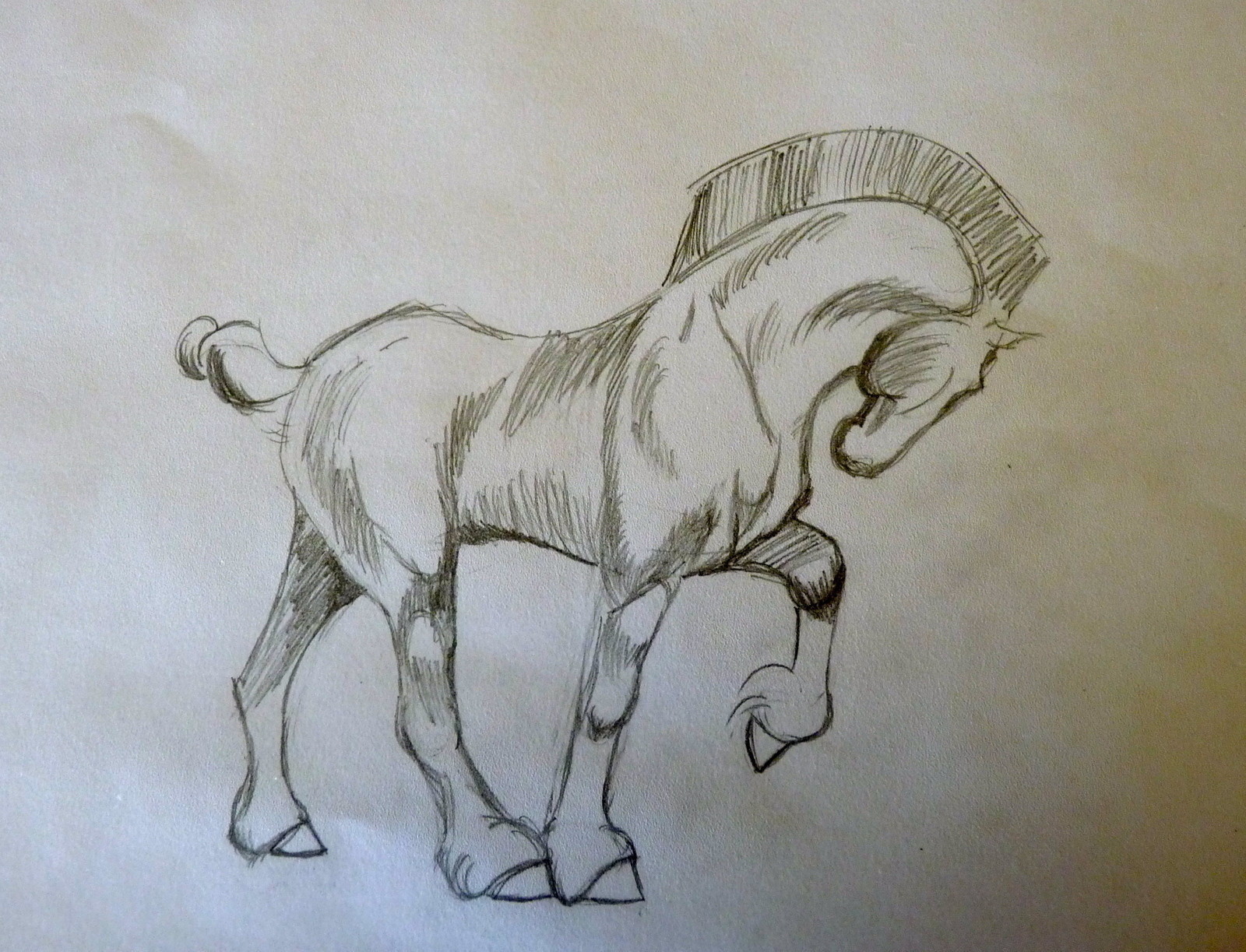 1600x1223 Draft Horse A Drawing Drawing On Cut Out + Keep Creation By - Draft Horse Sketch