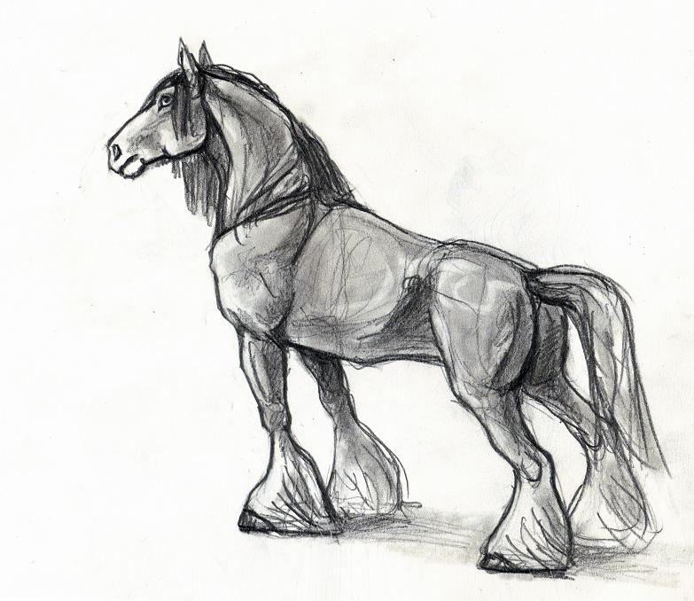 783x678 Draft Horse Sketch - Draft Horse Sketch