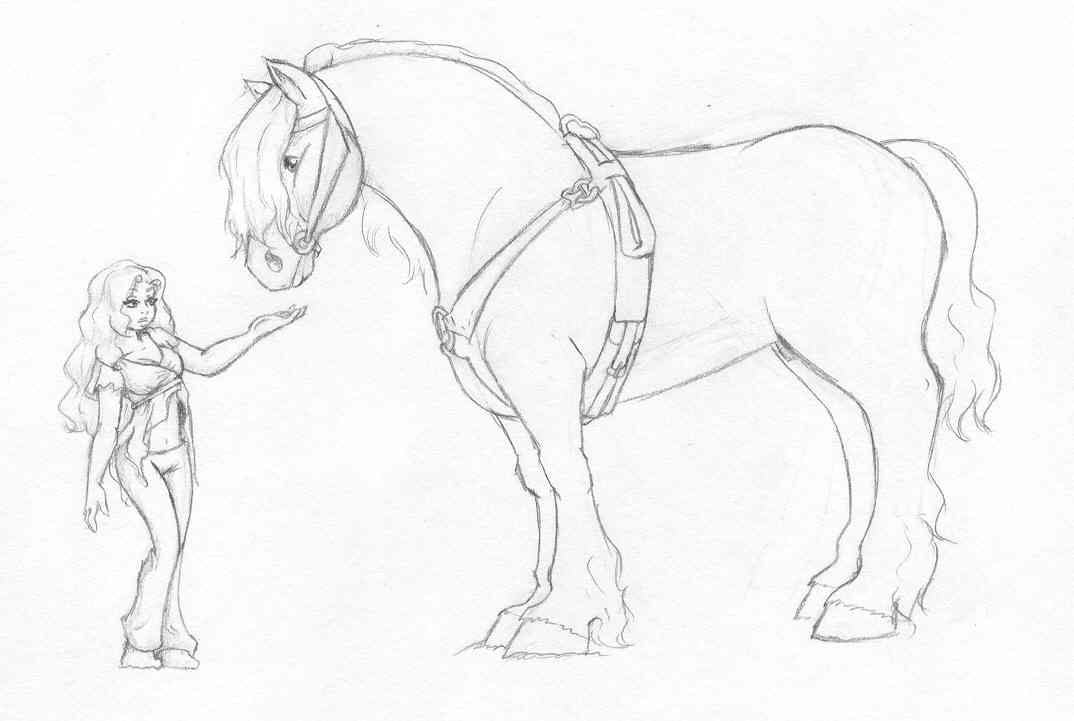 1074x721 Draft Horse Study By Sparklinburgndy - Draft Horse Sketch